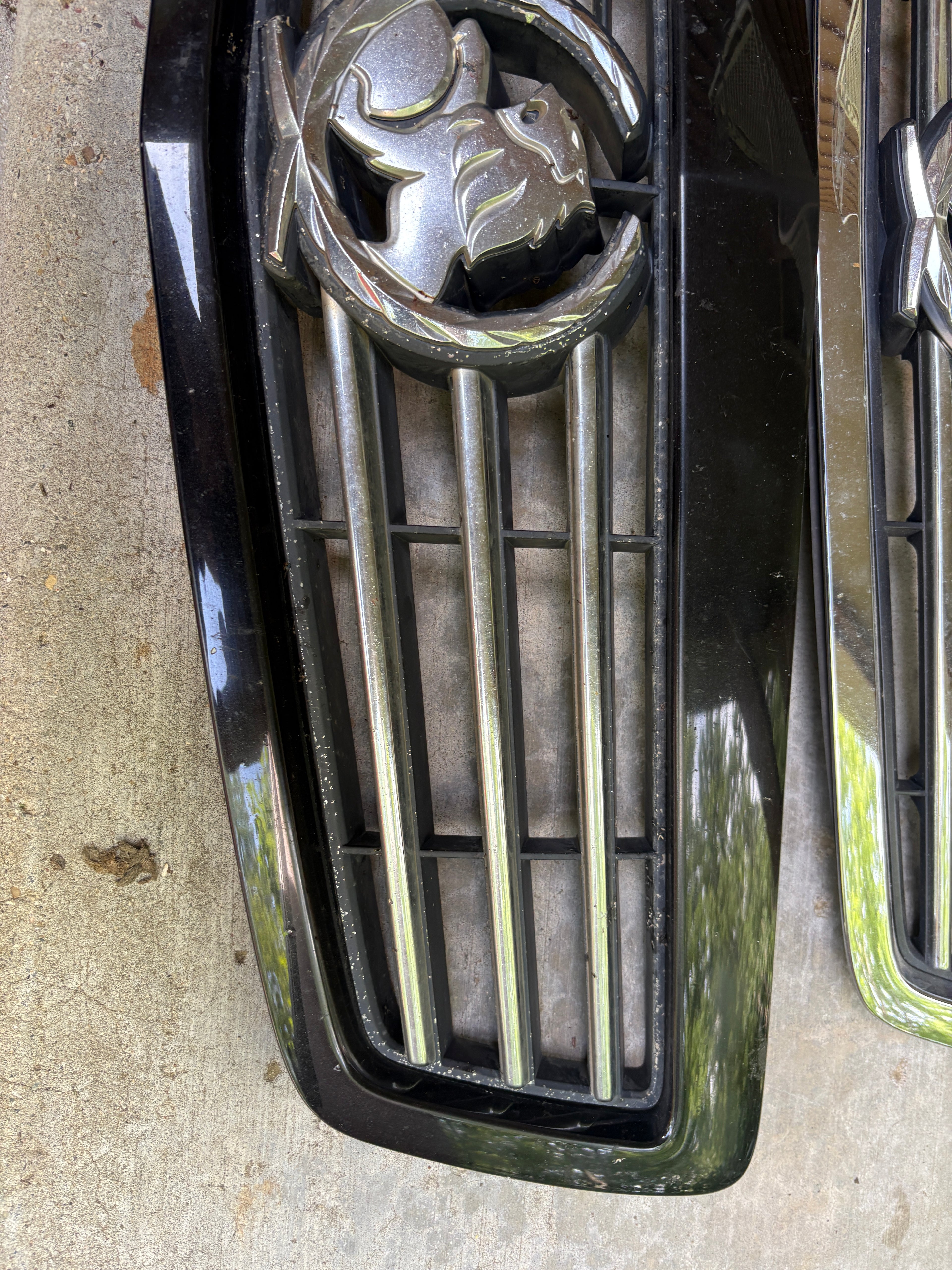 Statesman grill w/ Black surround