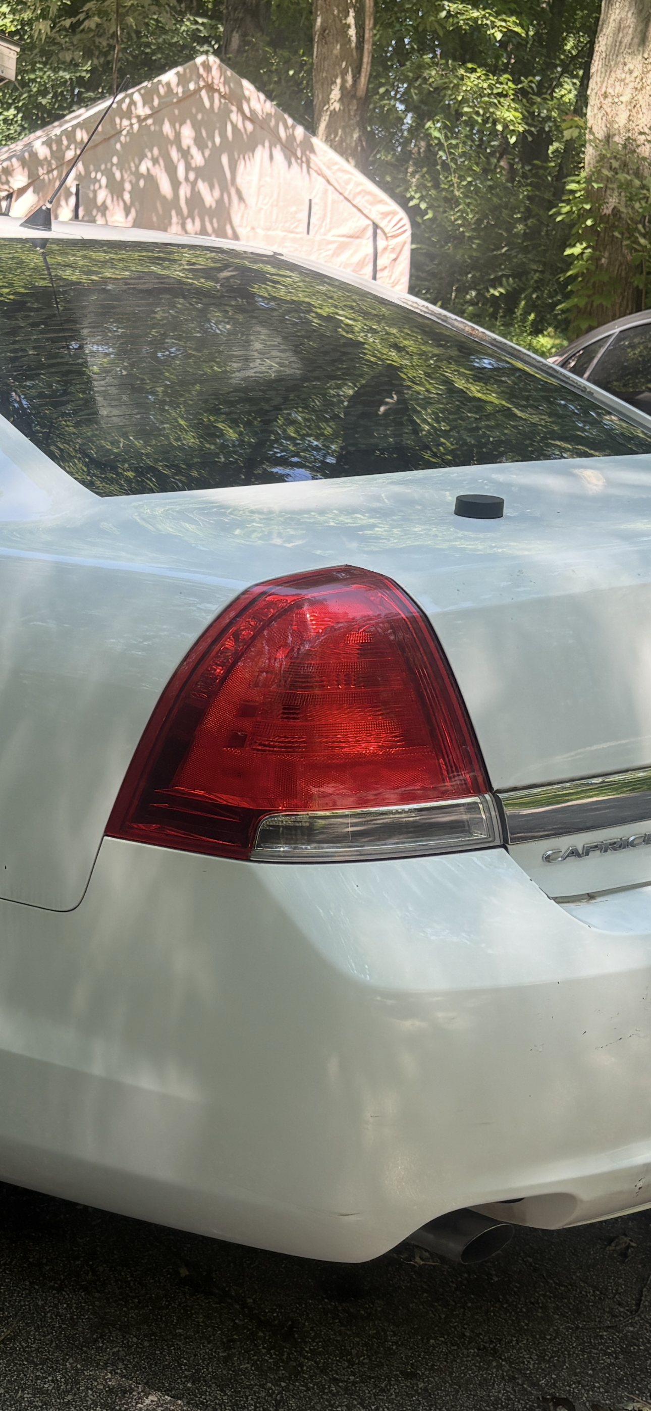 Driver Side Caprice PPV Taillamp