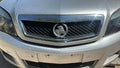 Holden Caprice grill