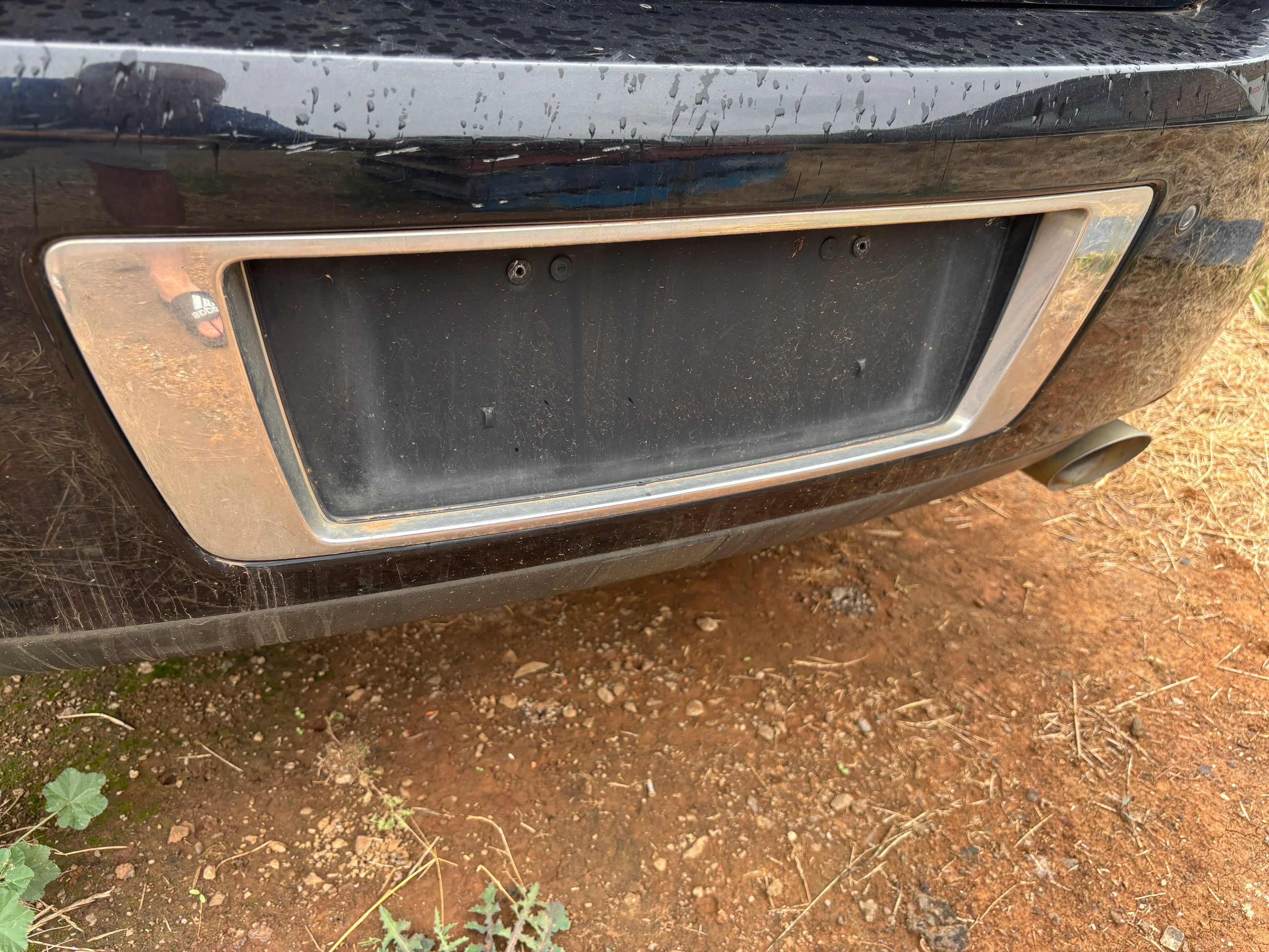 WM-WN Statesman Plate Garnish