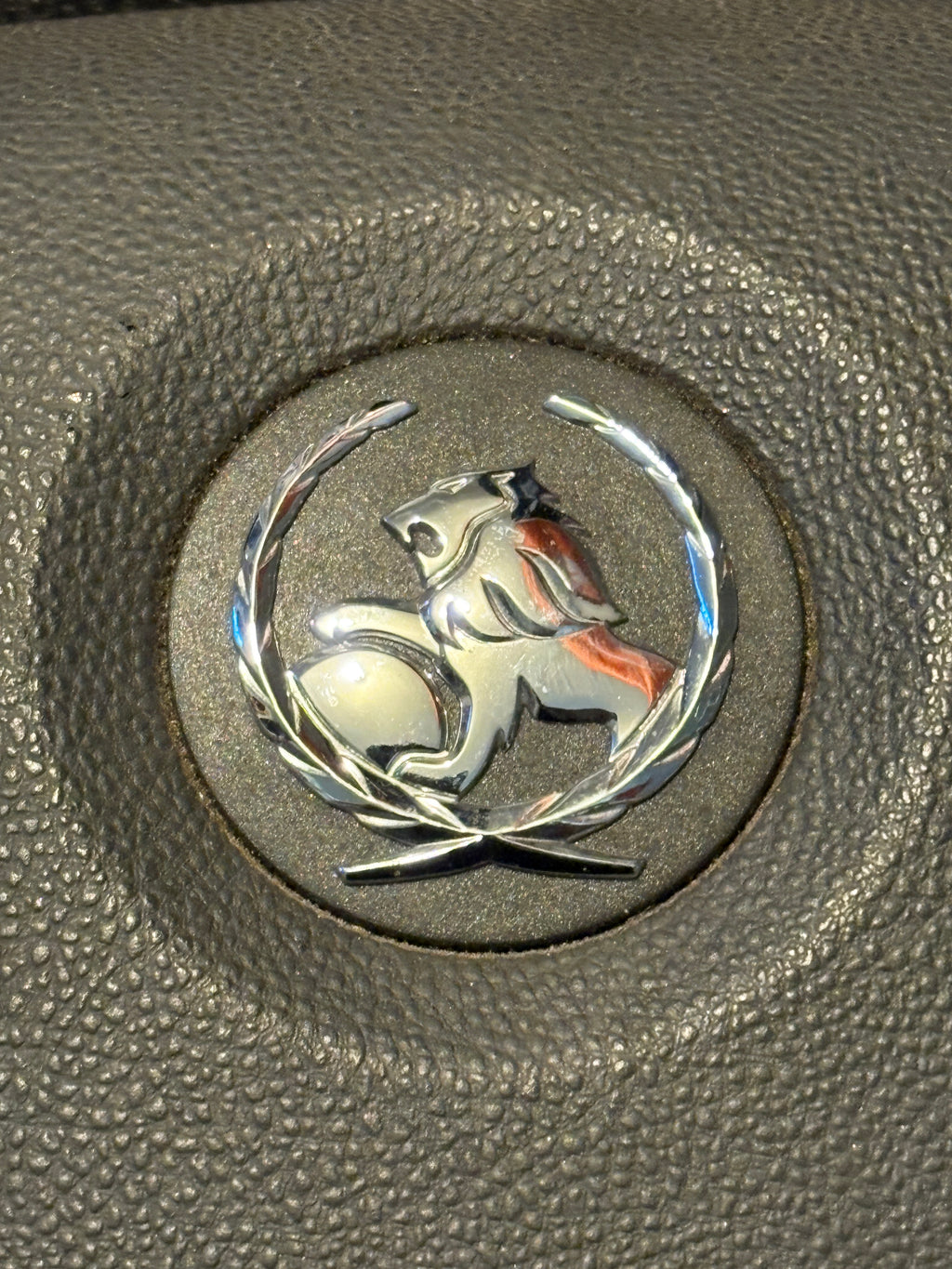 2011-2013 Chrome Holden Airbag