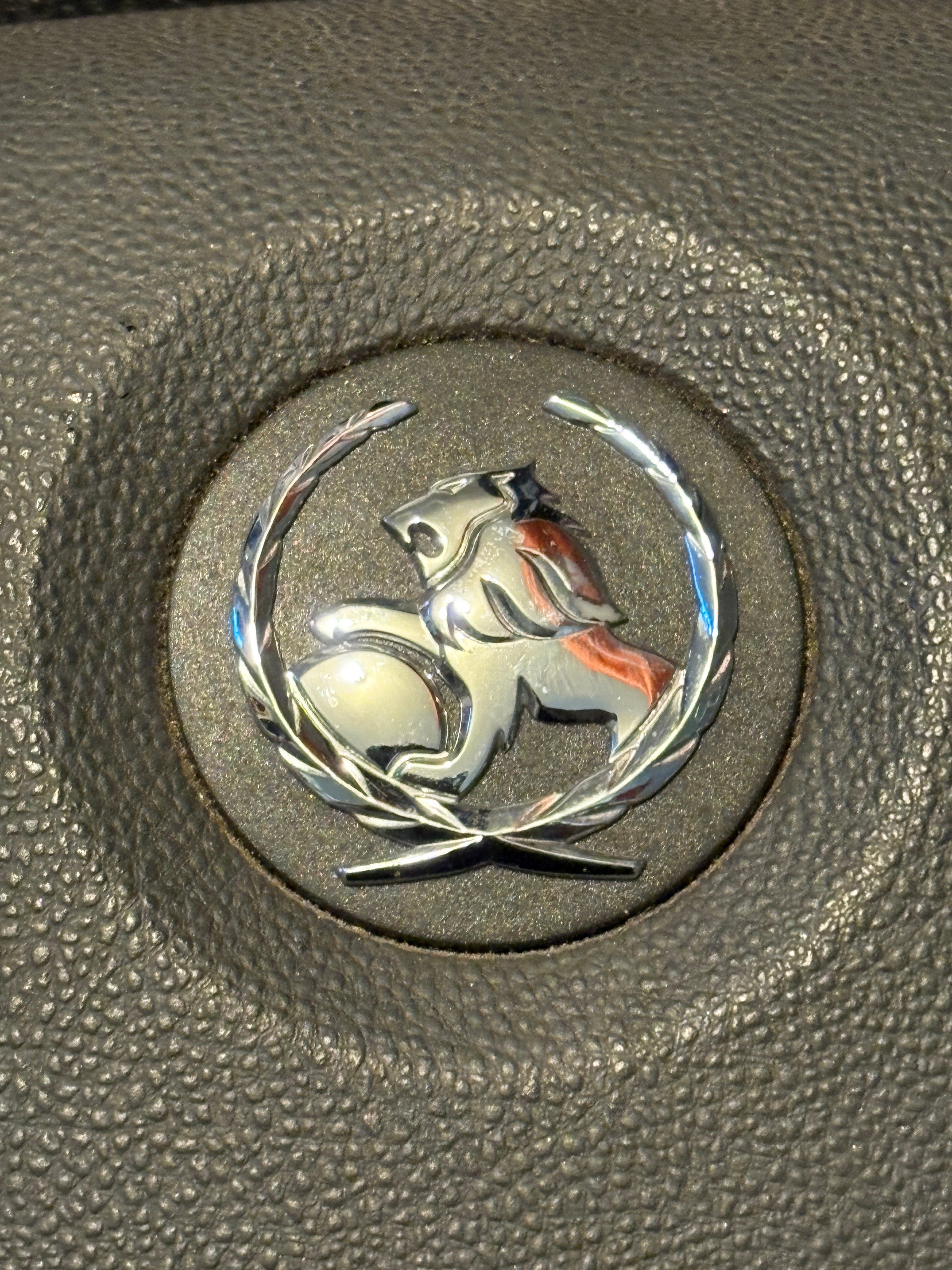 2011-2013 Chrome Holden Airbag
